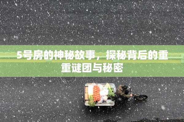 5号房的神秘故事，探秘背后的重重谜团与秘密