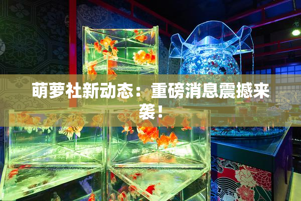 萌萝社新动态：重磅消息震撼来袭！