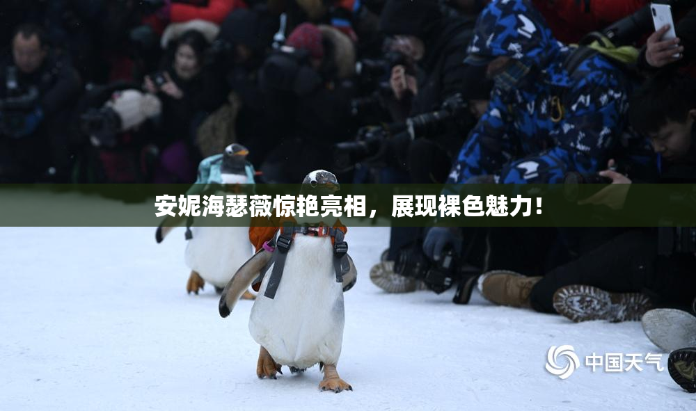 安妮海瑟薇惊艳亮相，展现裸色魅力！