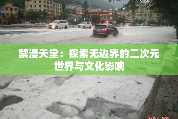 禁漫天堂：探索无边界的二次元世界与文化影响