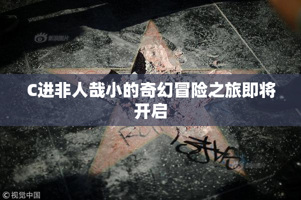 C进非人哉小的奇幻冒险之旅即将开启