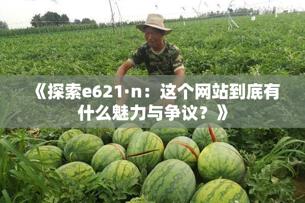 《探索e621·n：这个网站到底有什么魅力与争议？》