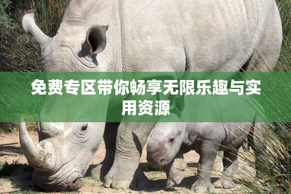 免费专区带你畅享无限乐趣与实用资源