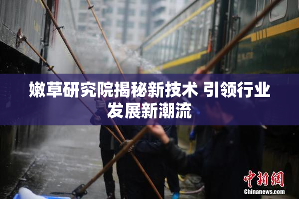 嫩草研究院揭秘新技术 引领行业发展新潮流
