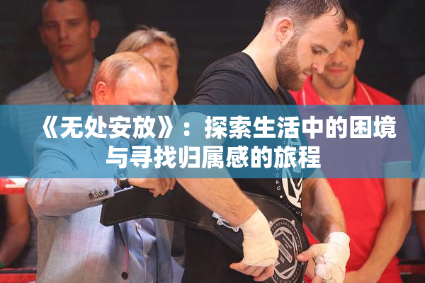 《无处安放》：探索生活中的困境与寻找归属感的旅程