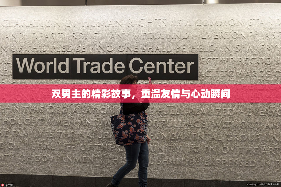 双男主的精彩故事，重温友情与心动瞬间