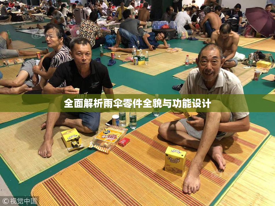 全面解析雨伞零件全貌与功能设计