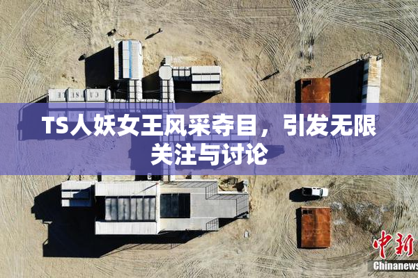TS人妖女王风采夺目，引发无限关注与讨论