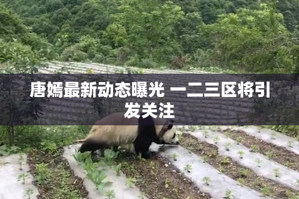 唐嫣最新动态曝光 一二三区将引发关注