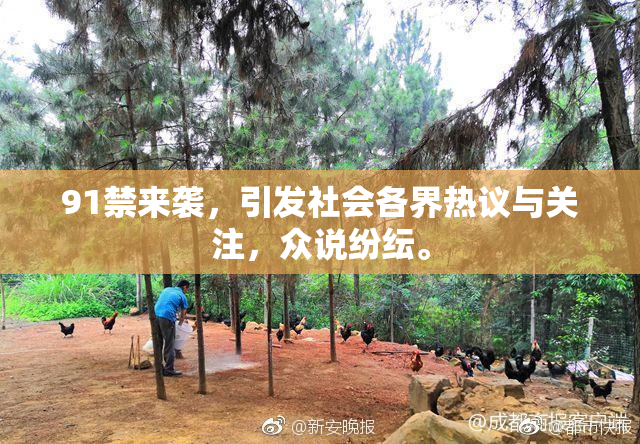 91禁来袭，引发社会各界热议与关注，众说纷纭。