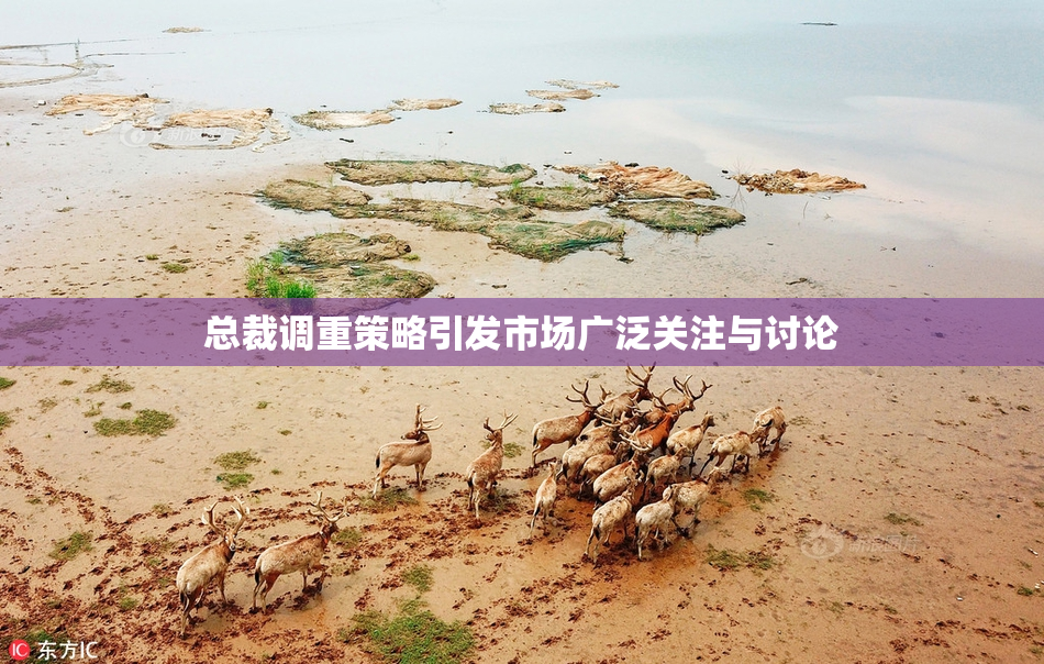 总裁调重策略引发市场广泛关注与讨论