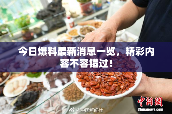今日爆料最新消息一览，精彩内容不容错过！