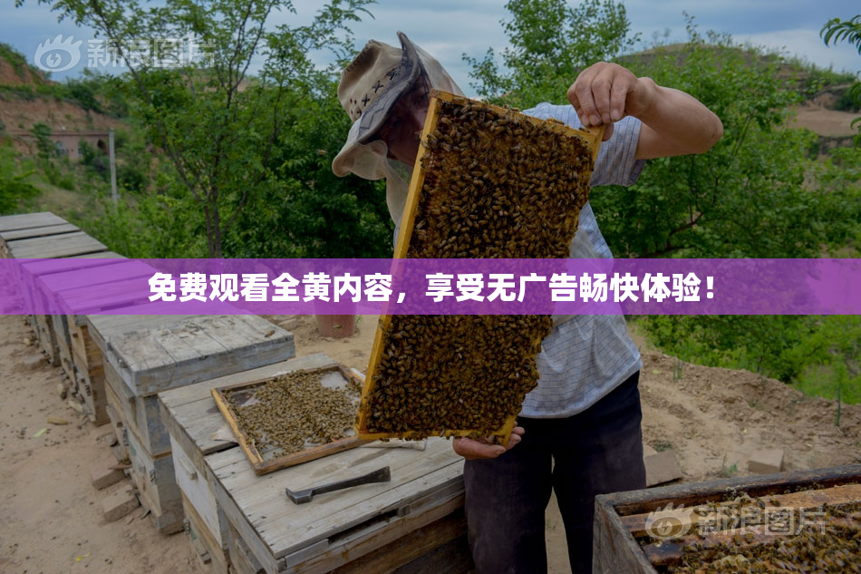 免费观看全黄内容，享受无广告畅快体验！