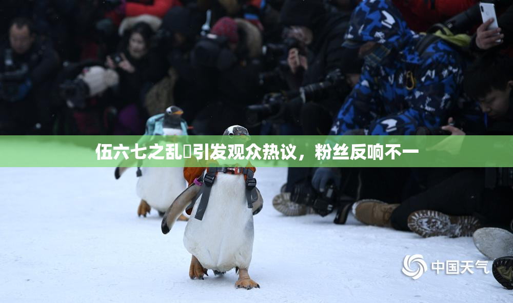 伍六七之乱婬引发观众热议，粉丝反响不一