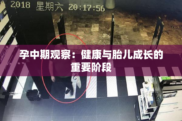 孕中期观察：健康与胎儿成长的重要阶段