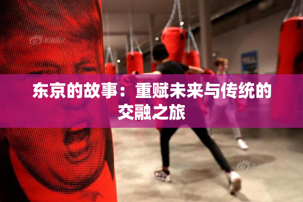 东京的故事：重赋未来与传统的交融之旅