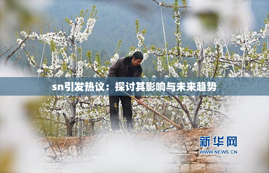 sn引发热议：探讨其影响与未来趋势