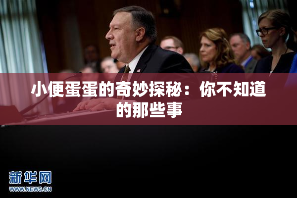 小便蛋蛋的奇妙探秘：你不知道的那些事