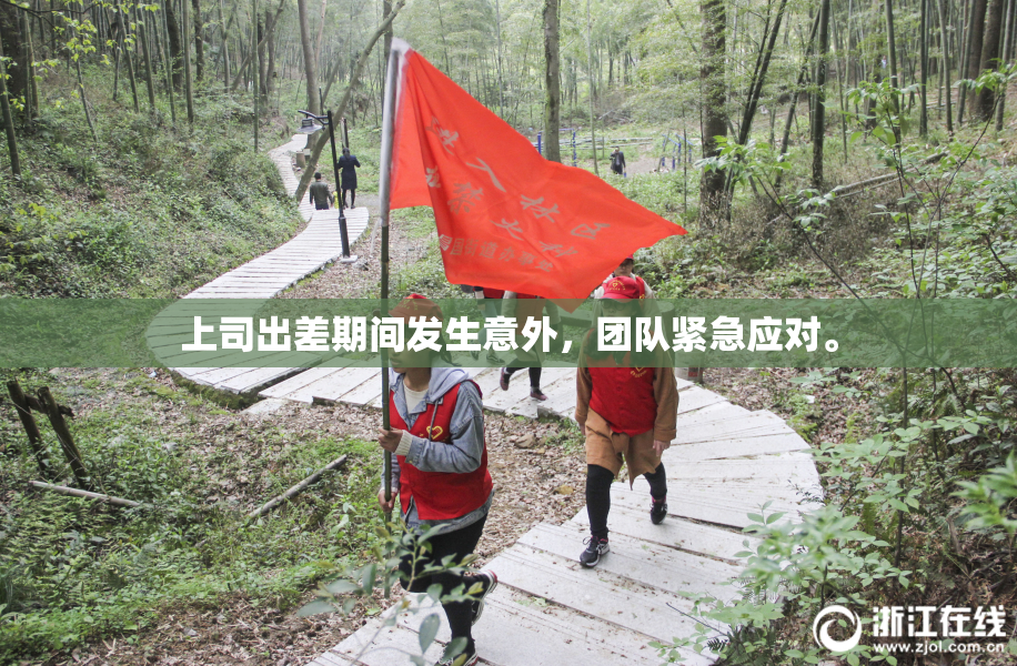 上司出差期间发生意外，团队紧急应对。
