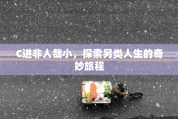C进非人哉小，探索另类人生的奇妙旅程