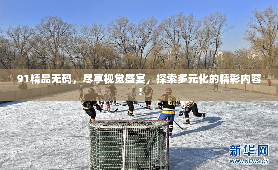 91精品无码，尽享视觉盛宴，探索多元化的精彩内容！