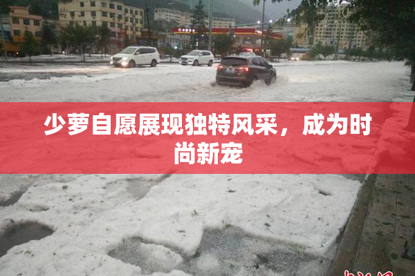 少萝自愿展现独特风采，成为时尚新宠