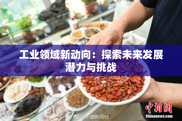 工业领域新动向：探索未来发展潜力与挑战