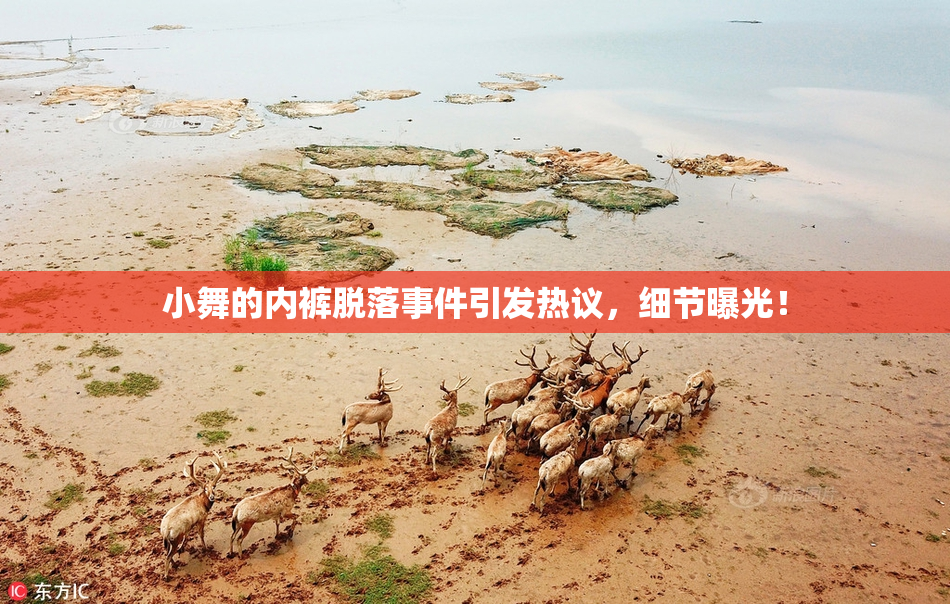 小舞的内裤脱落事件引发热议，细节曝光！