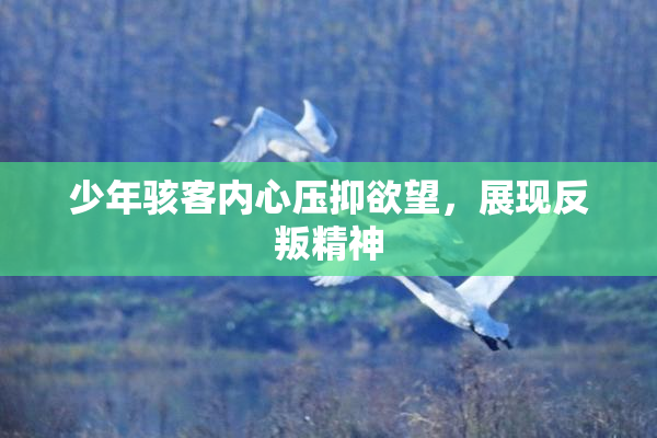 少年骇客内心压抑欲望，展现反叛精神