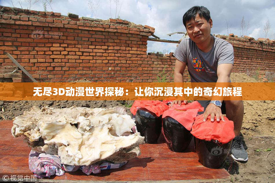 无尽3D动漫世界探秘：让你沉浸其中的奇幻旅程