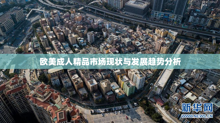 欧美成人精品市场现状与发展趋势分析