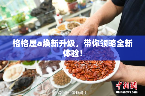 格格屋a焕新升级，带你领略全新体验！