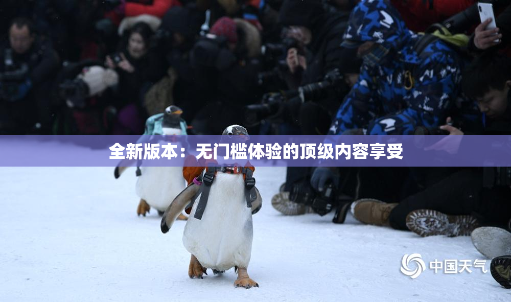 全新版本：无门槛体验的顶级内容享受