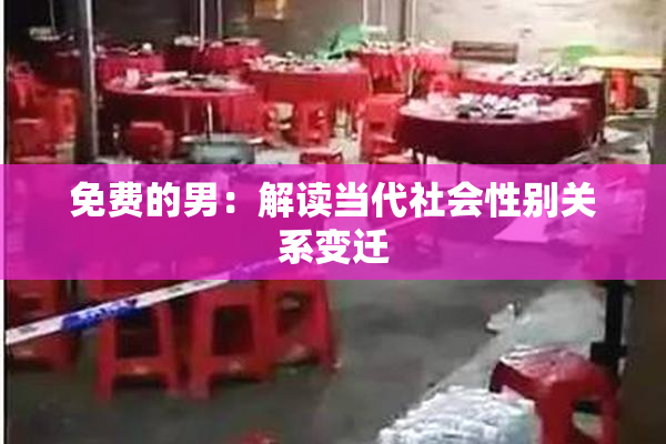 免费的男：解读当代社会性别关系变迁