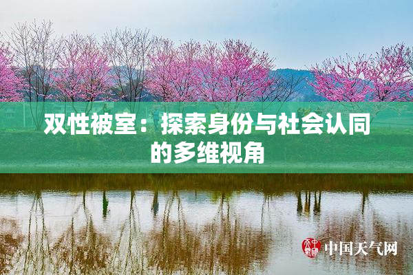 双性被室：探索身份与社会认同的多维视角