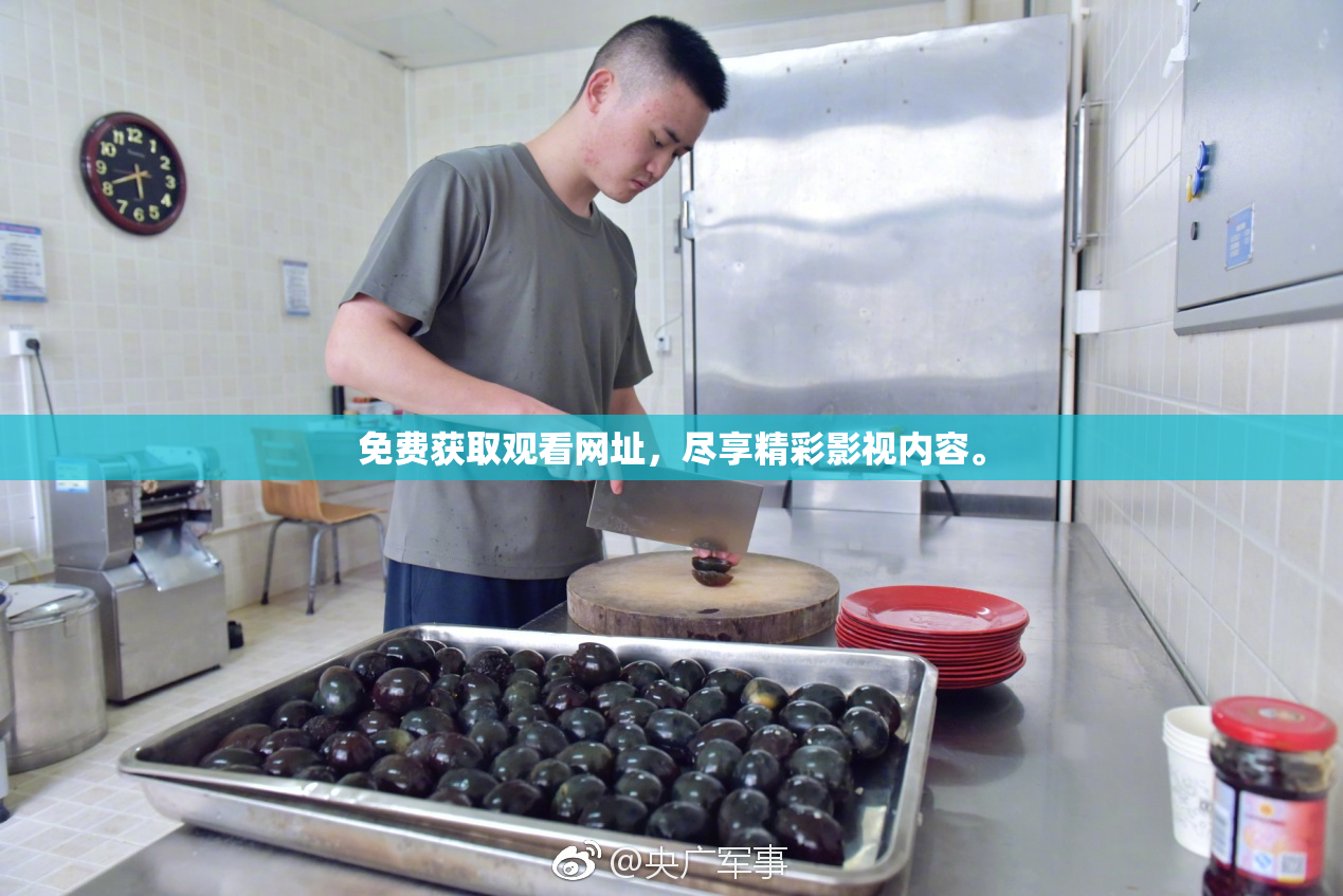 免费获取观看网址，尽享精彩影视内容。