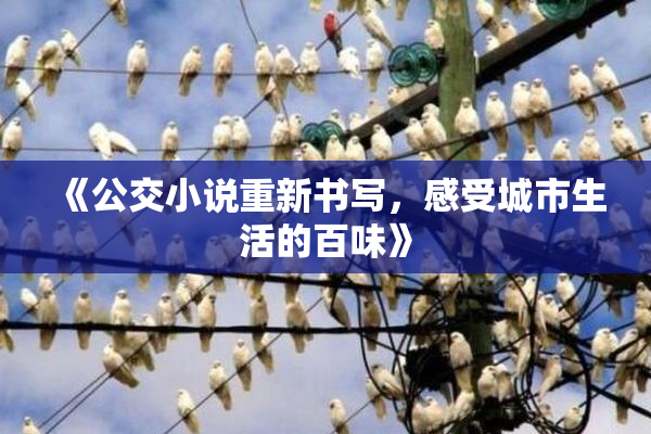 《公交小说重新书写，感受城市生活的百味》