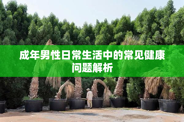 成年男性日常生活中的常见健康问题解析