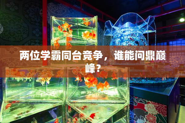 两位学霸同台竞争，谁能问鼎巅峰？