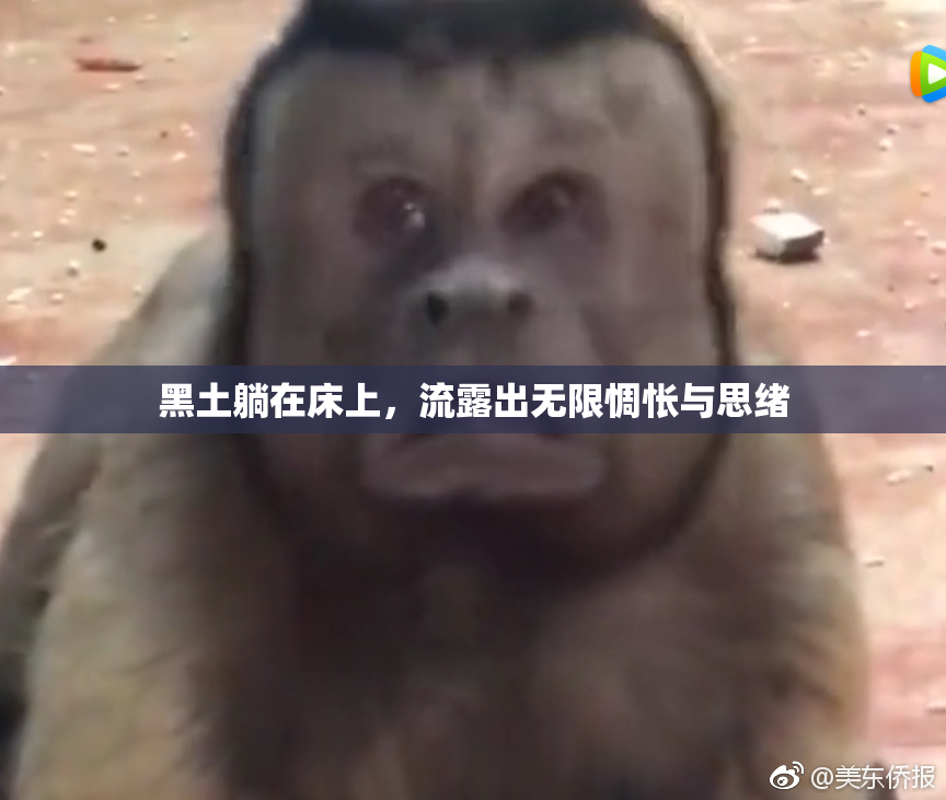 黑土躺在床上，流露出无限惆怅与思绪