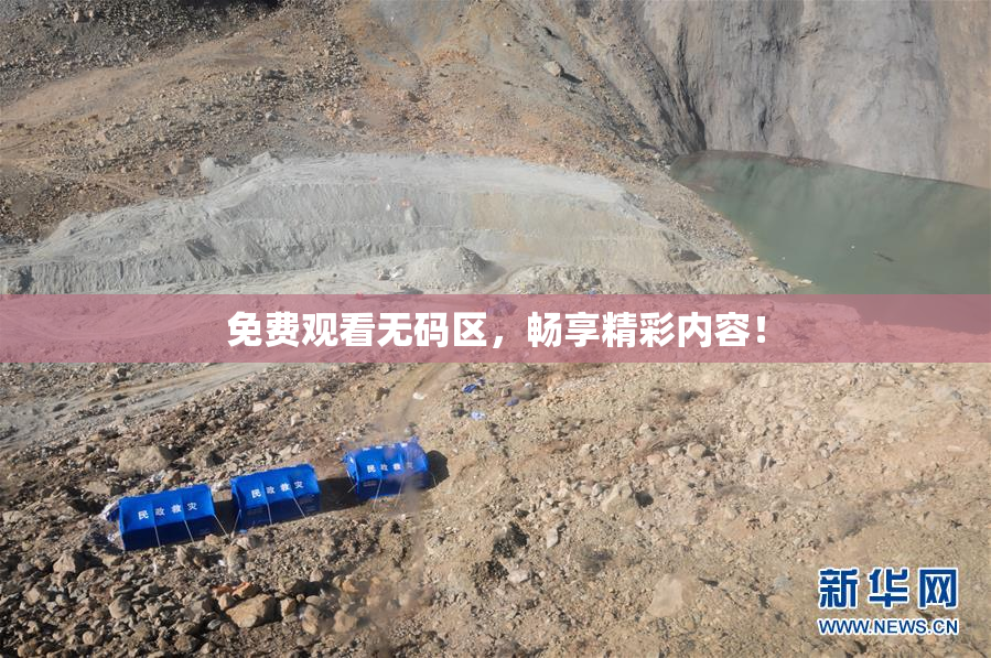 免费观看无码区，畅享精彩内容！