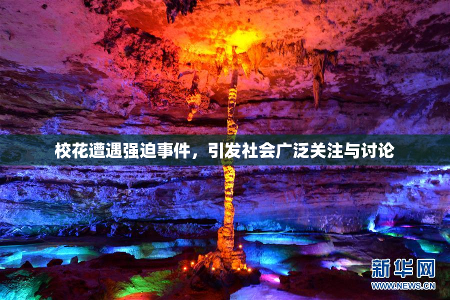 校花遭遇强迫事件，引发社会广泛关注与讨论