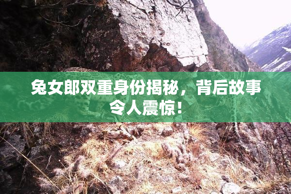 兔女郎双重身份揭秘，背后故事令人震惊！