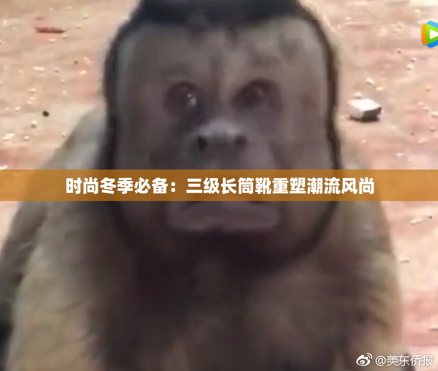 时尚冬季必备：三级长筒靴重塑潮流风尚