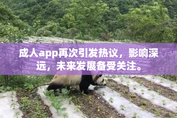 成人app再次引发热议，影响深远，未来发展备受关注。
