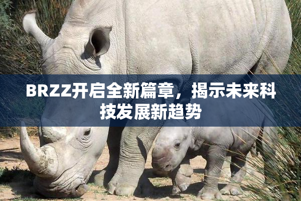 BRZZ开启全新篇章，揭示未来科技发展新趋势