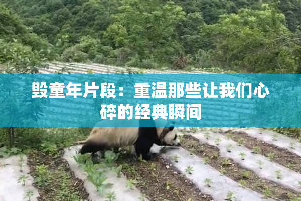 毁童年片段：重温那些让我们心碎的经典瞬间