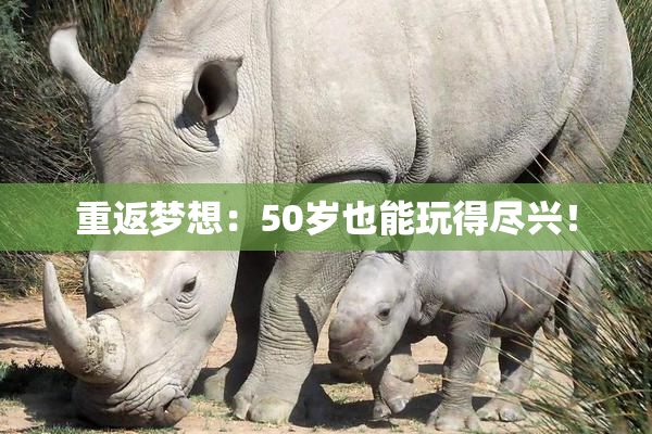 重返梦想：50岁也能玩得尽兴！