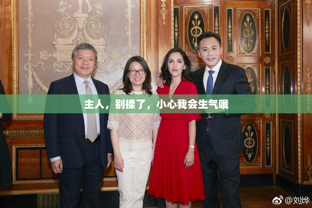 主人，别揉了，小心我会生气哦
