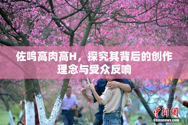 佐鸣高肉高H，探究其背后的创作理念与受众反响